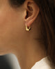 Bolden Bow Earrings - Small